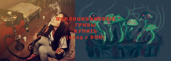 a pvp Михайловск