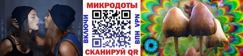 Купить закладки  Калтан  Псилоцибиновые грибы мицелий 